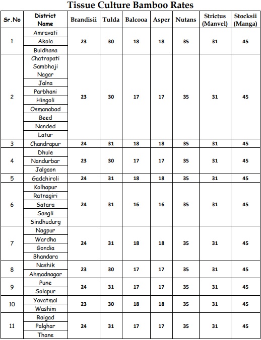 Maharashtra Atal Bamboo Samruddhi Yojana Tissue Culture Bamboo Rates