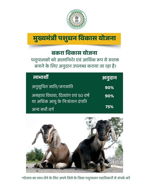 Jharkhand Mukhyamantri Pashudhan Vikas Yojana Details