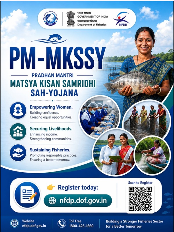  PM-MKSSY