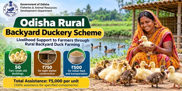 Odisha Rural Backyard Duckery Scheme 