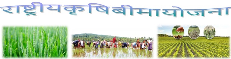 राष्ट्रीय कृषि बीमा योजना 